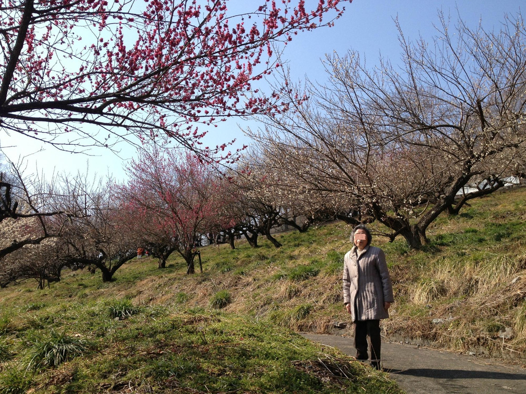 Honzawa Baien-相模原市必去景点