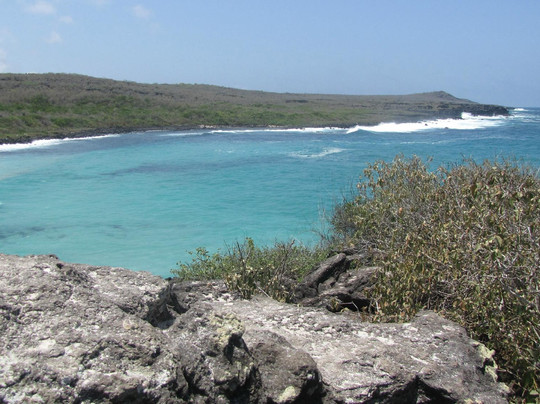 Darwin Scuba Dive-Puerto Baquerizo Moreno必去景点
