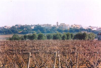Torricella旅游景点-Centro Storico di Monacizzo