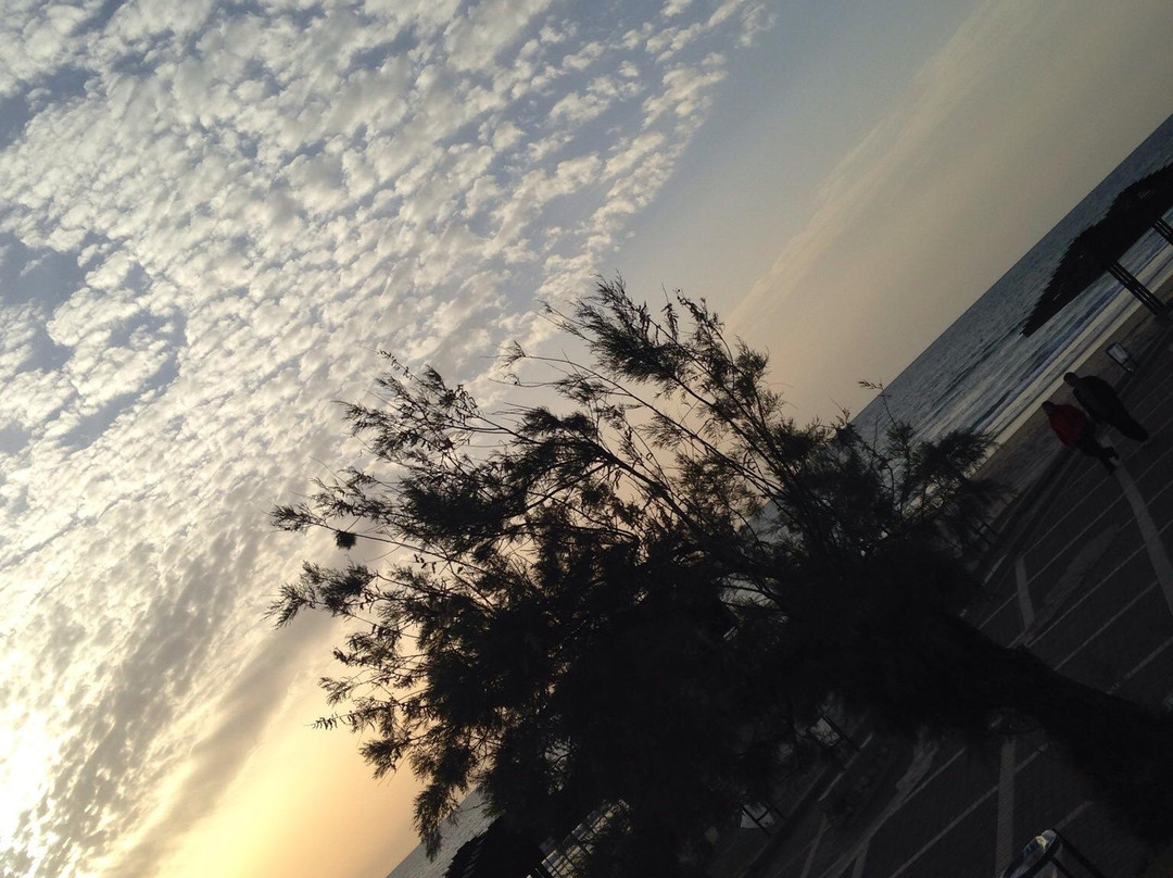 Dado Beach-Haifa必去景点