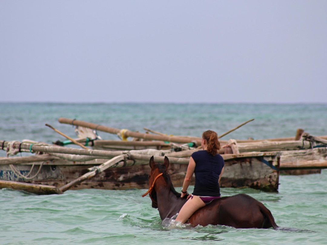 Maisha Mazuri Horse Riding Club-基万嘎必去景点