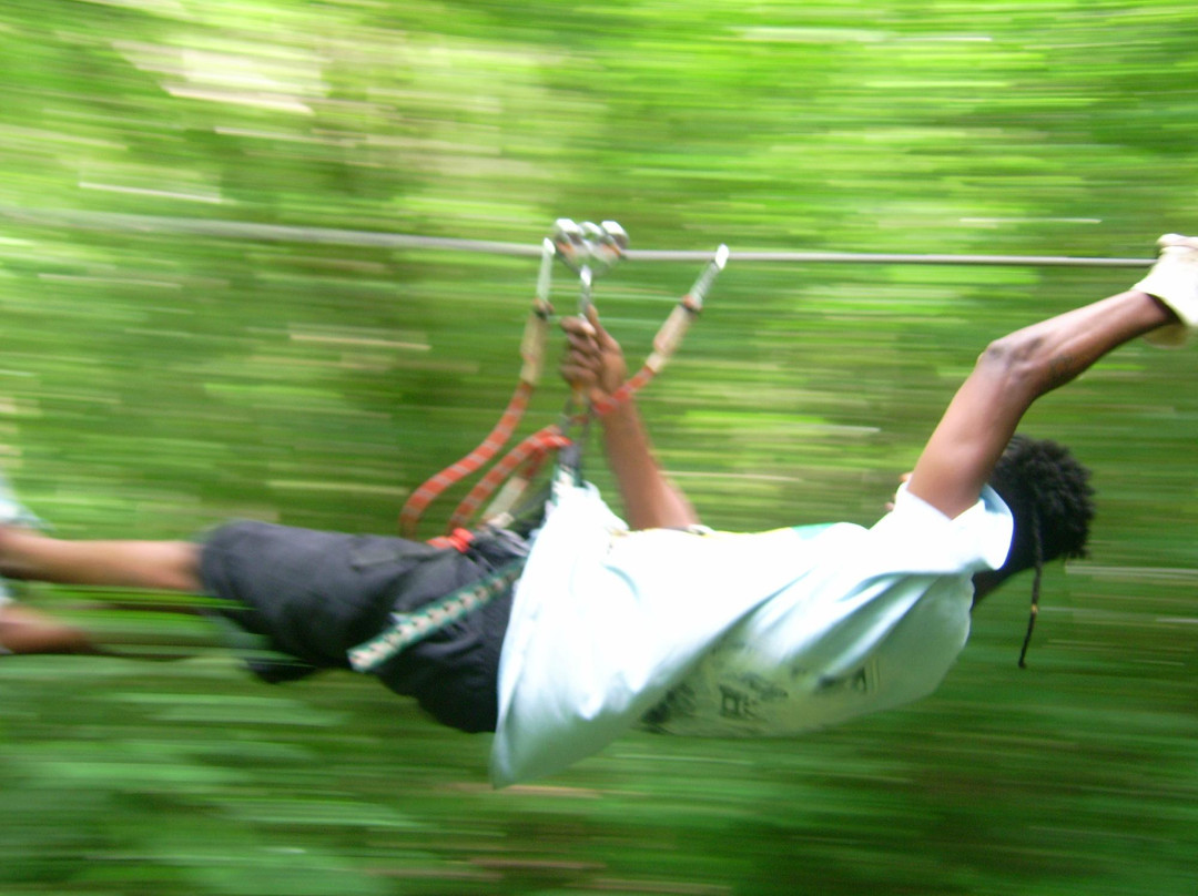 Mangofil Martinique-Trois-Ilets必去景点