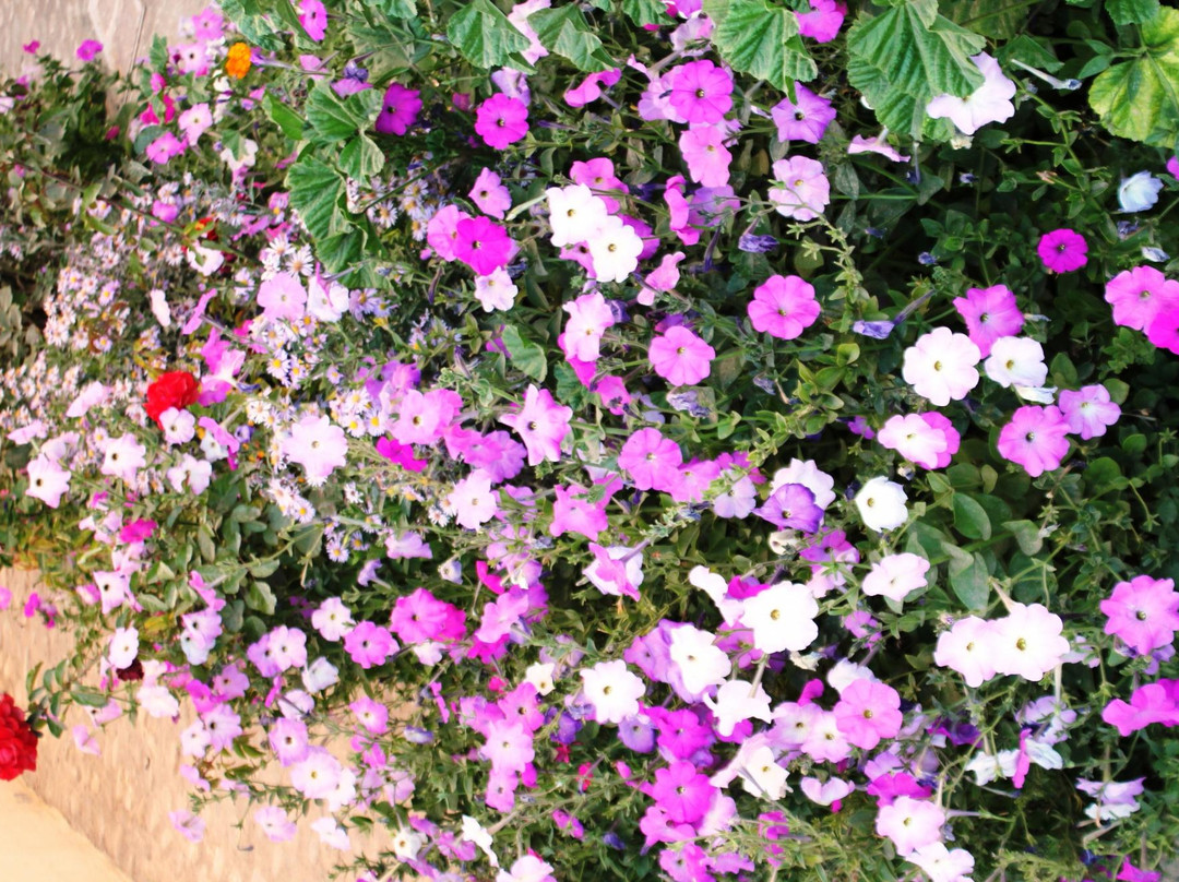 Norban Qala Guest House主图