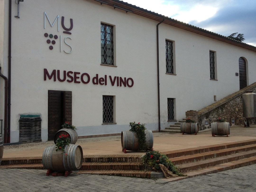 MUVIS - Museo del Vino景点图片