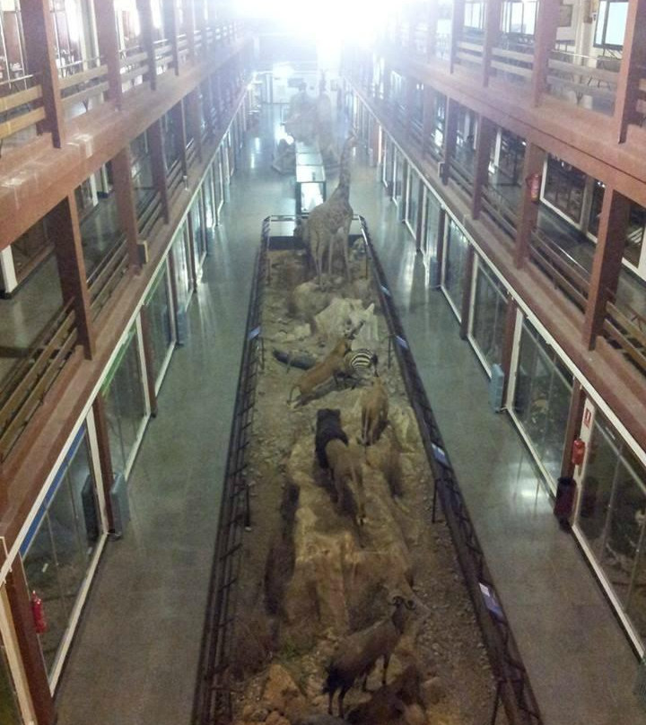 Museo de Ciencias Naturales El Carmen景点图片