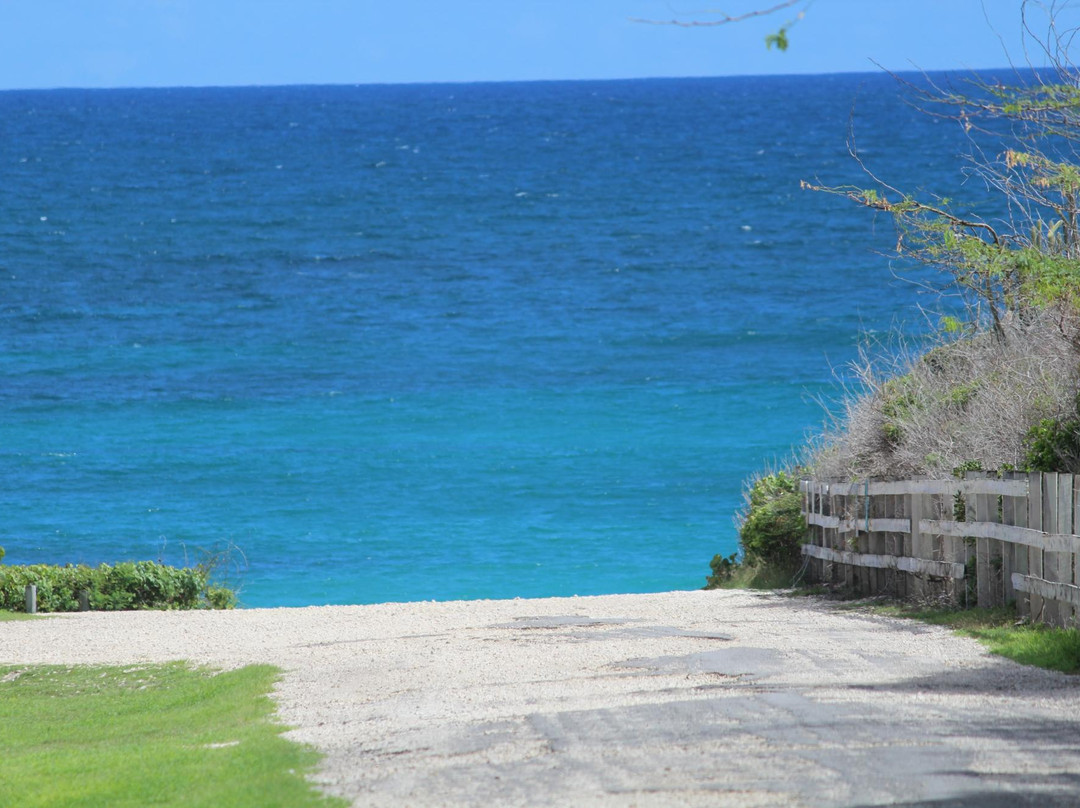 安提瓜和巴布达餐馆和美食-Smiling Harry's