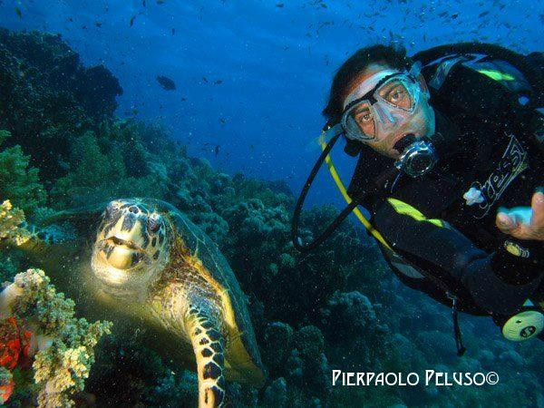 Subacquei Clandestini CCF Sharm-沙姆沙伊赫必去景点