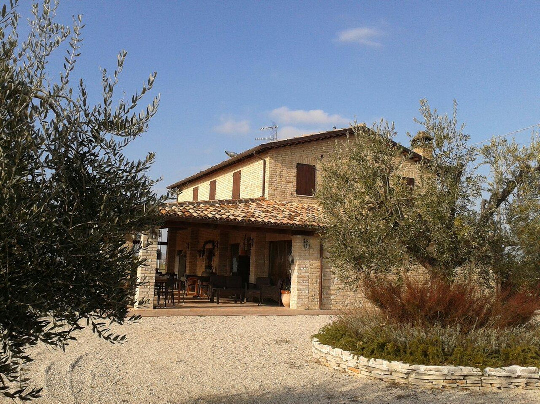 Acquaviva Picena餐馆和美食-La Forola Country House