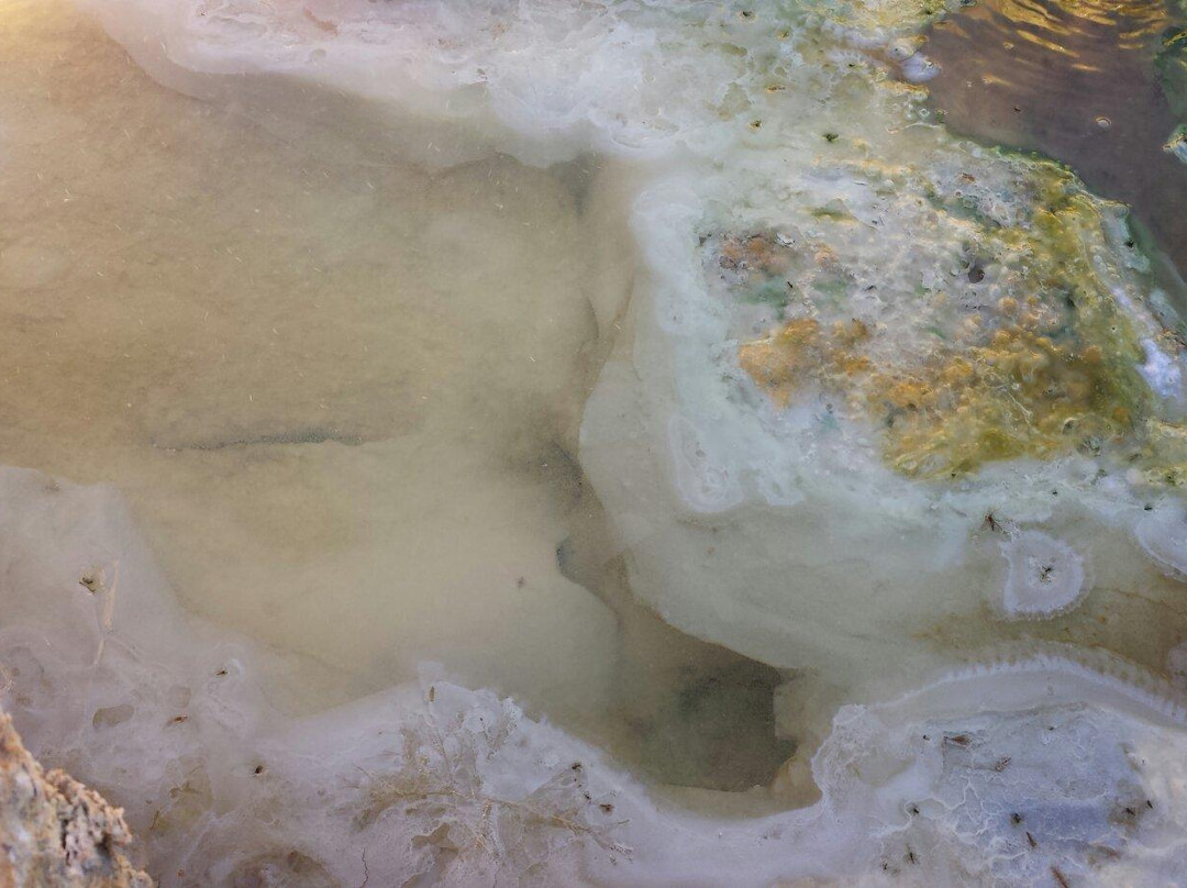 Travertine Hot Spring-布里奇波特必去景点