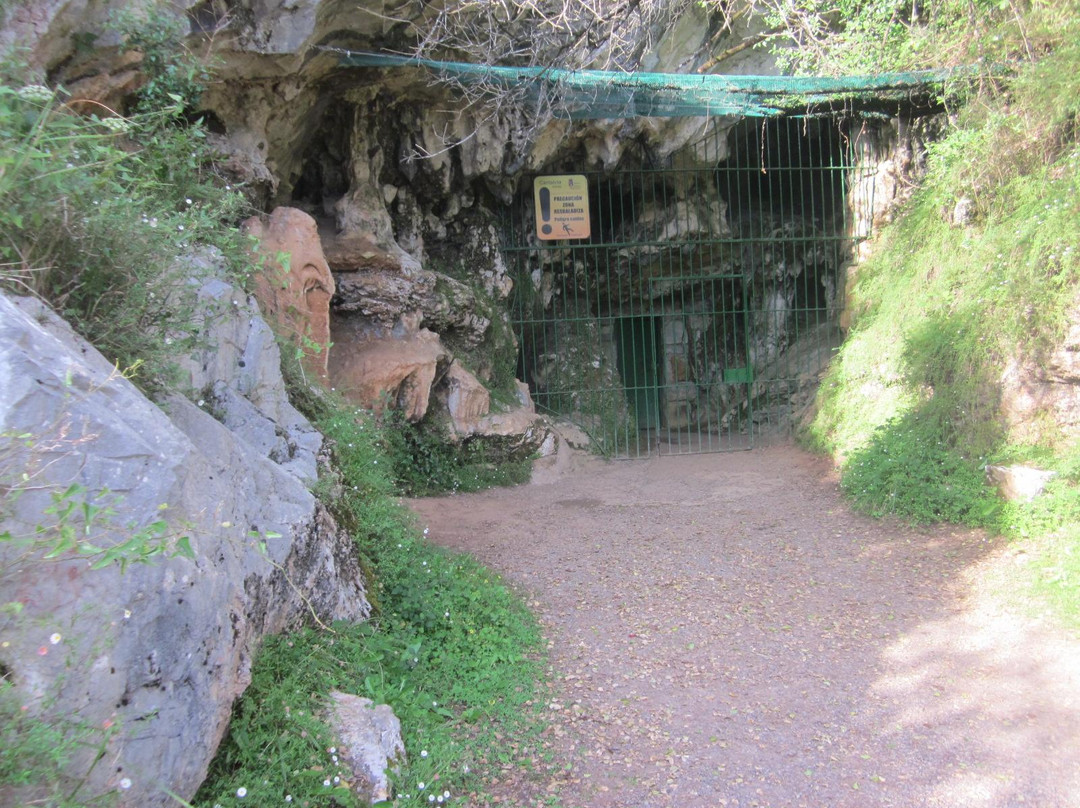 Cave of El Castillo-Puente Viesgo必去景点