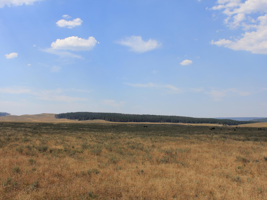 海登谷地-黄石国家公园必去景点