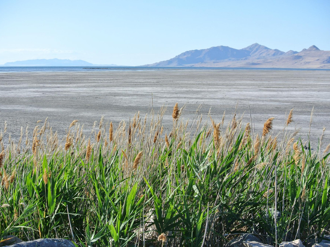 大盐湖-盐湖城必去景点