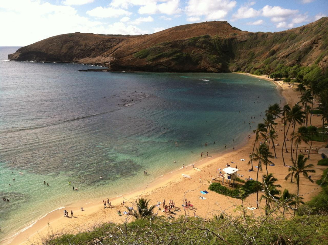 恐龙湾自然保护区-火奴鲁鲁必去景点