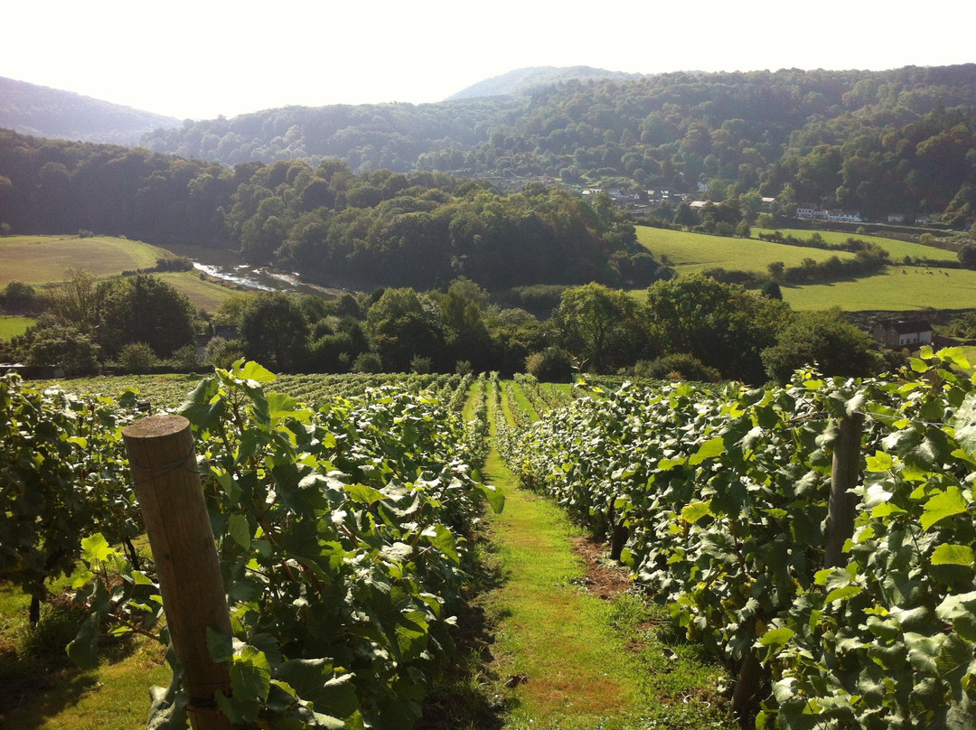 Parva Farm Vineyard景点图片