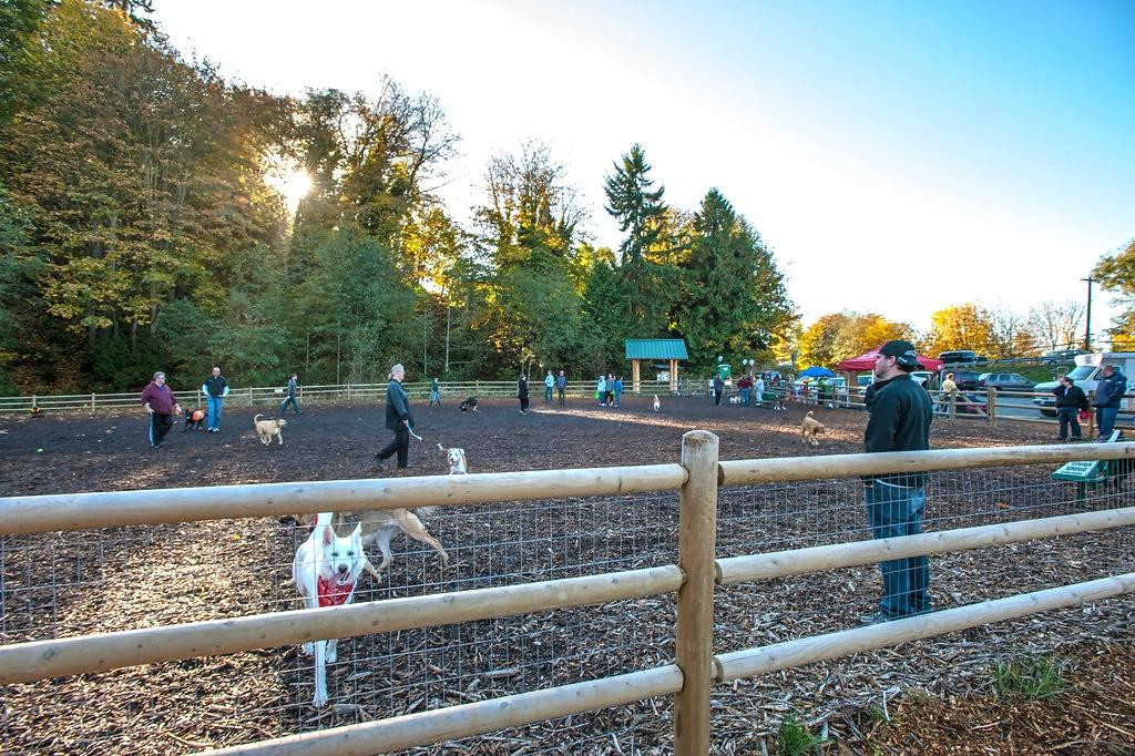 Trails and Tails Dog Park景点图片