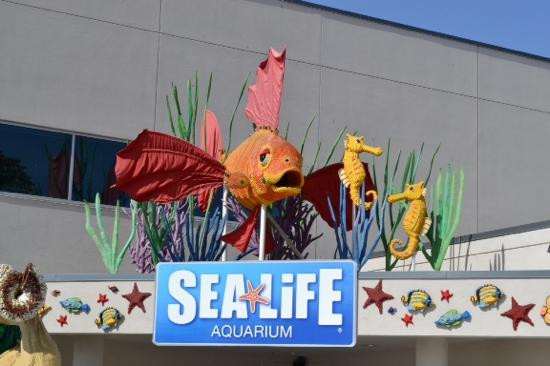 SEA LIFE Aquarium-卡尔斯巴德必去景点