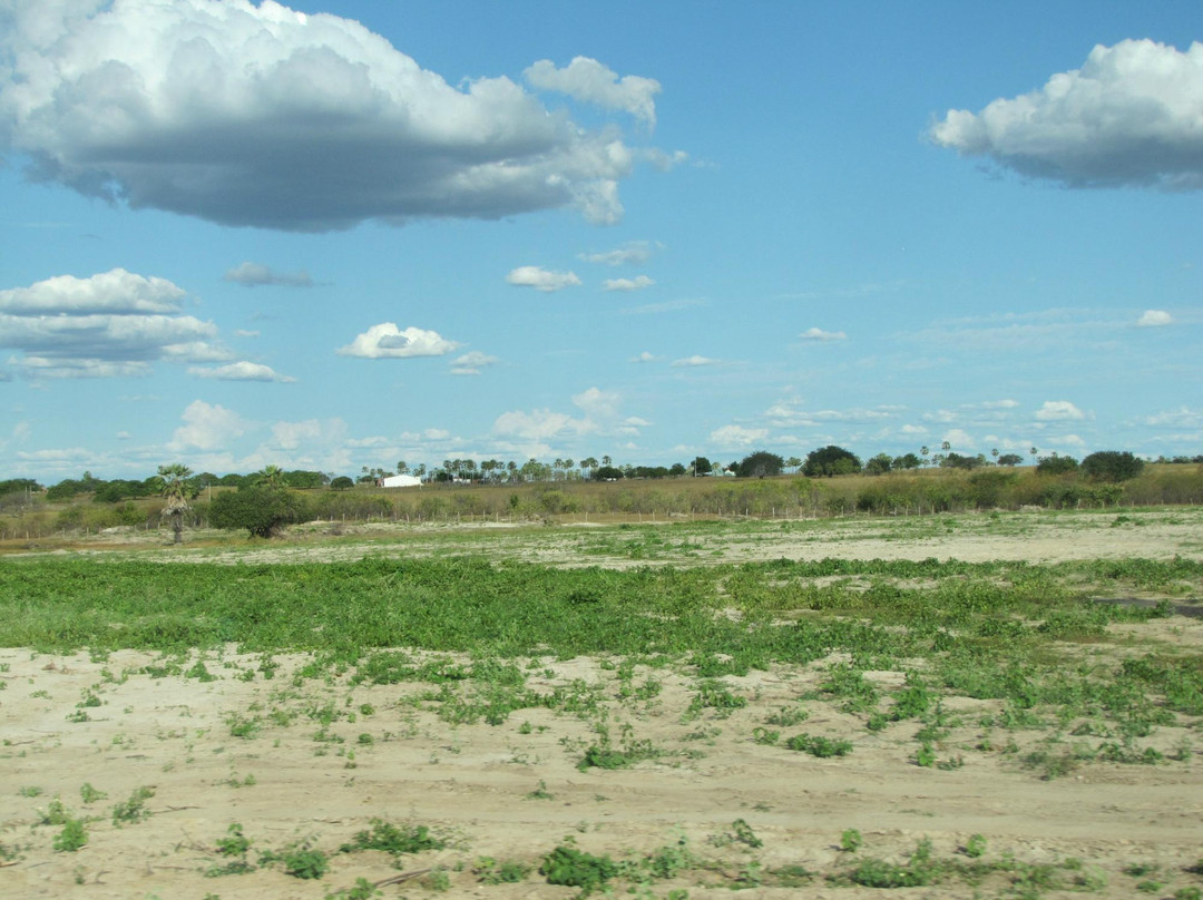 Lajedo de Soledade Archeology Museum景点图片