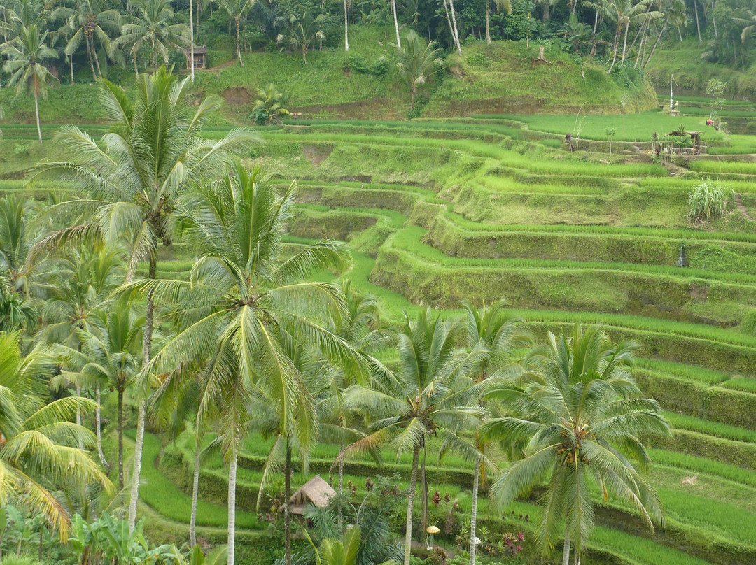The Bali Driver-达巴南必去景点