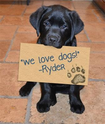 The Sanger Family Of Wines-索尔万必去景点