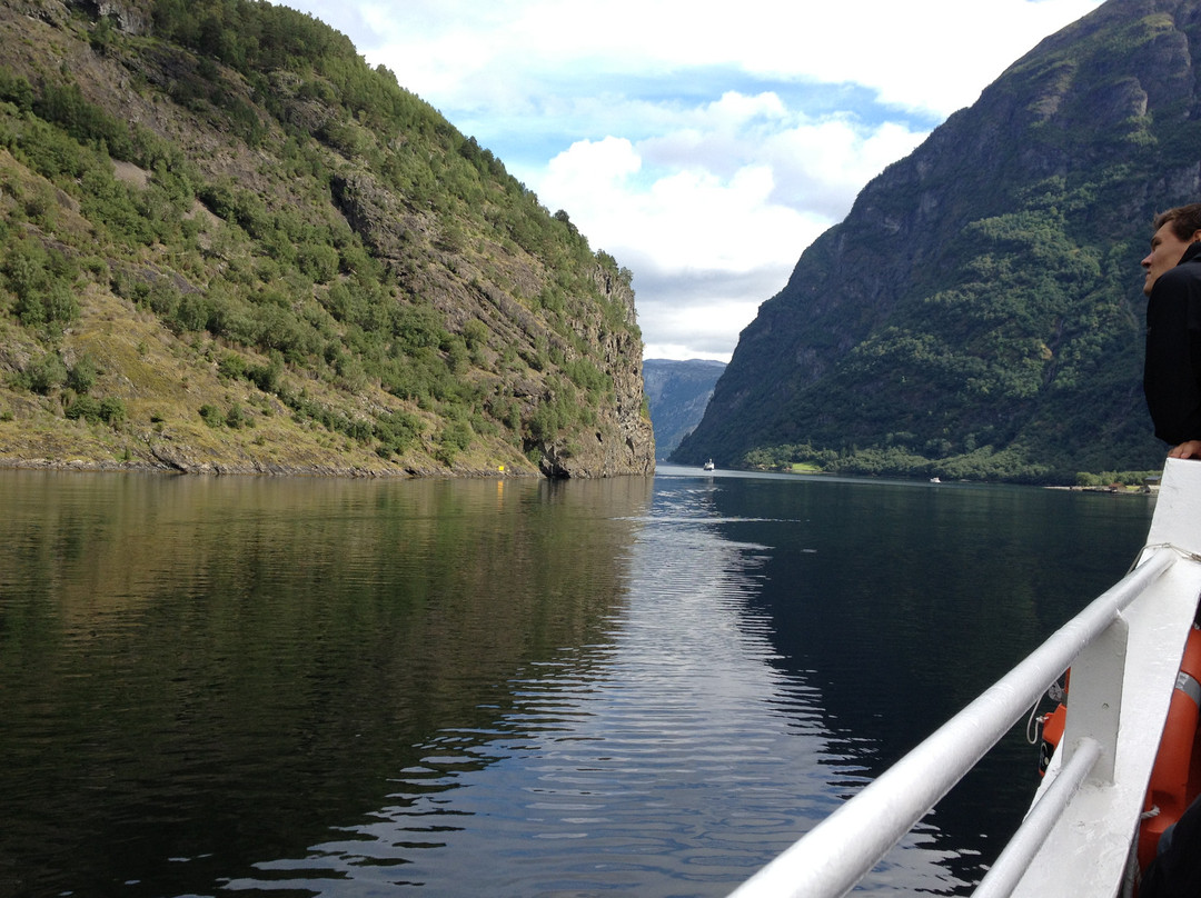 The Bergen Railway-奥斯陆必去景点