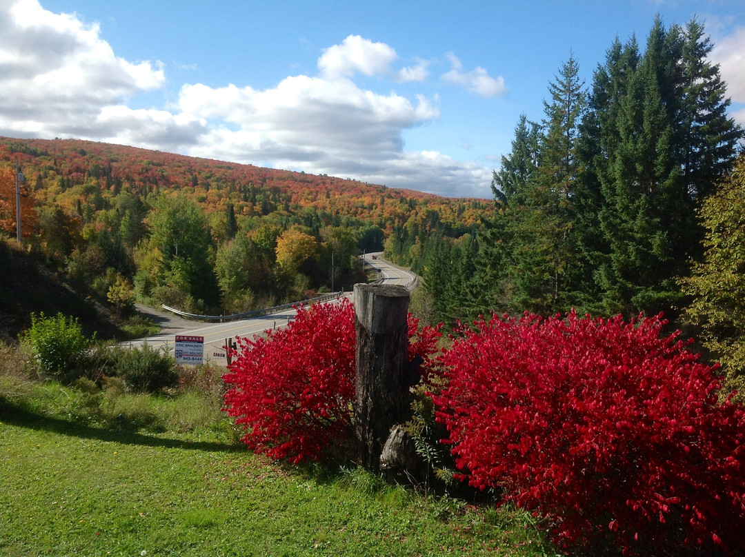 Mountainview Lodge