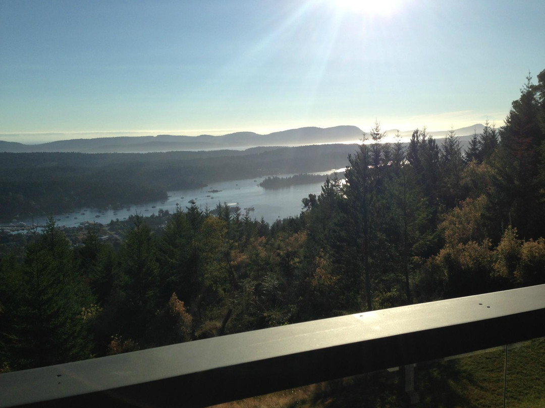 Amazing View Bed and Breakfast主图