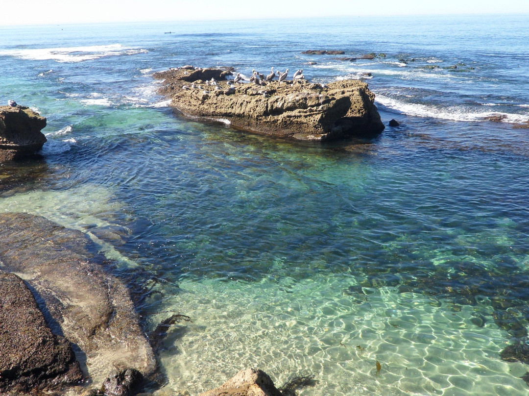 儿童泳池-拉荷亚必去景点