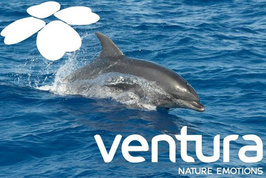 Ventura Nature Emotions-沙尔必去景点