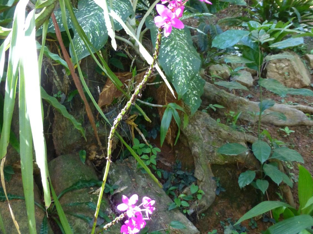 蝴蝶园与昆虫王国-塔林必去景点