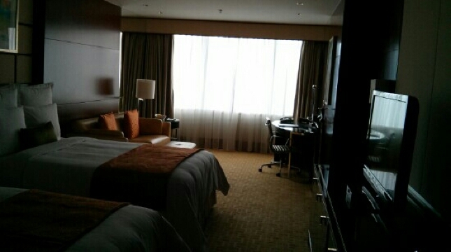 Gallery 3