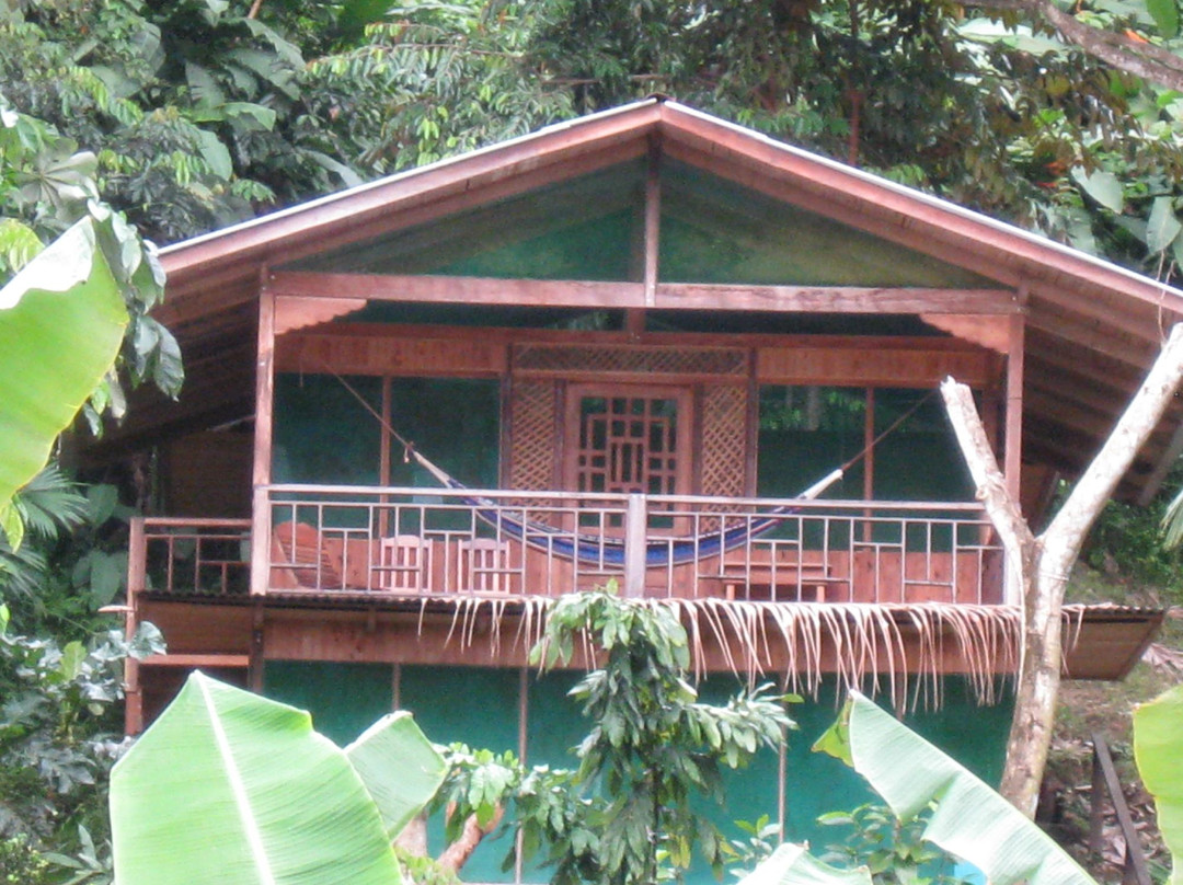 Ocean Forest Ecolodge