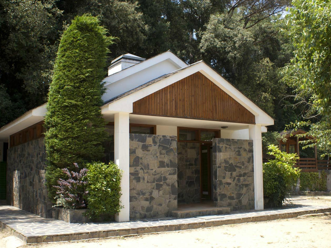 Camping el Vedado