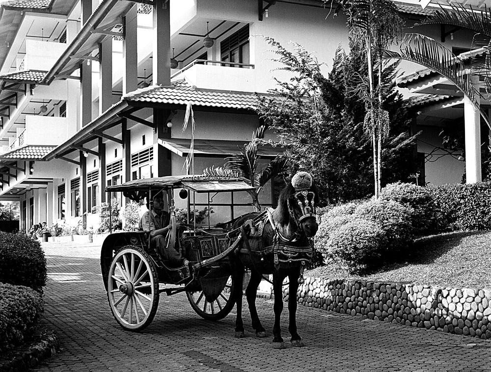 Hotel Surya Indah主图