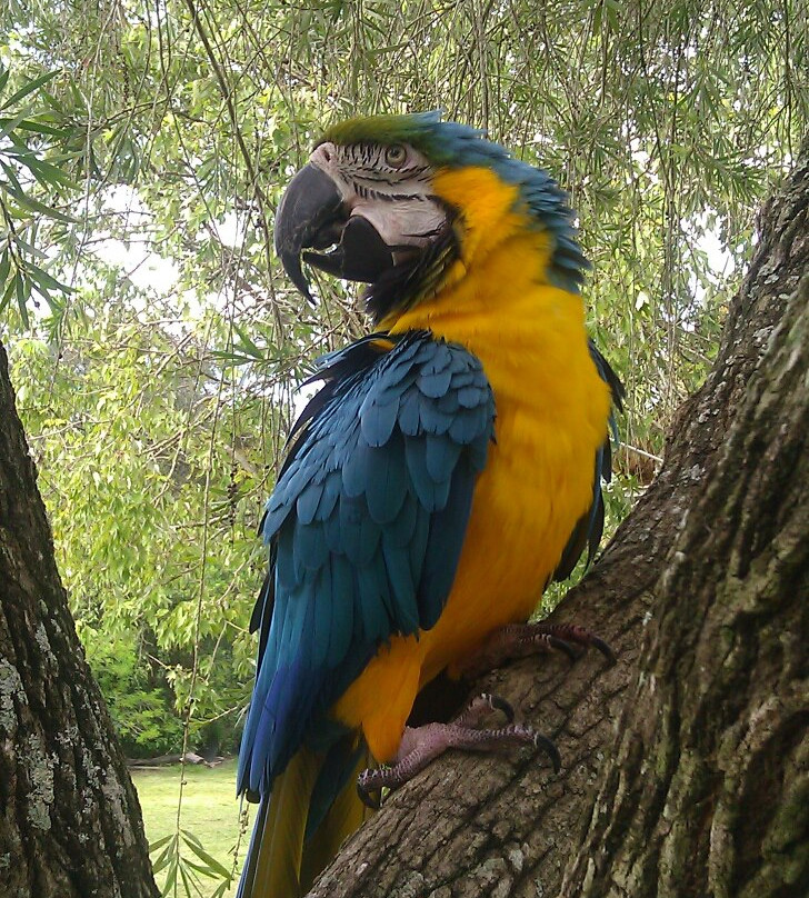 Bird Gardens of Naples-那不勒斯必去景点
