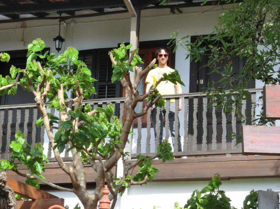 Bunch of Grapes Inn Hotel主图