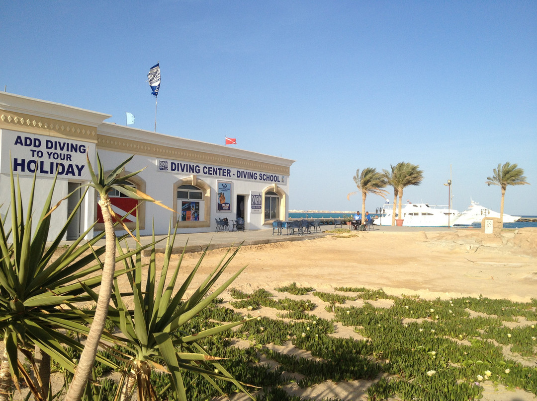 Dive In Soma Bay-Safaga必去景点