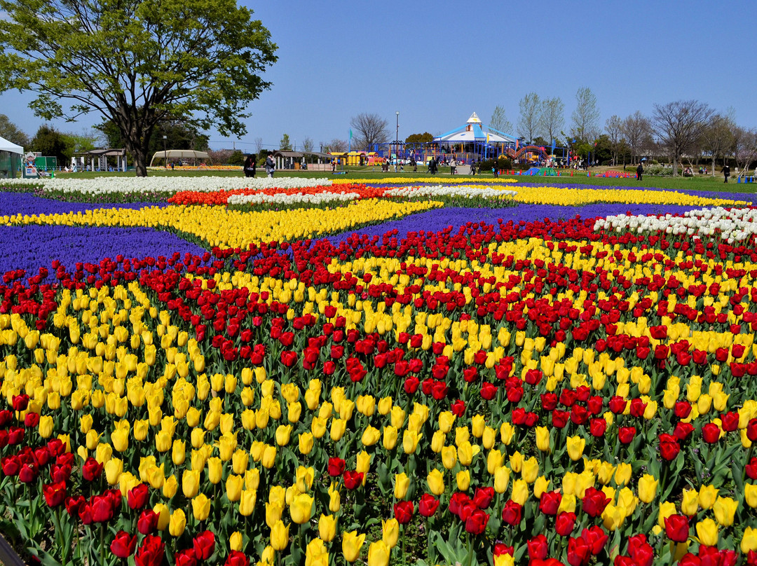 Kiso Sansen Park Center-海津市必去景点