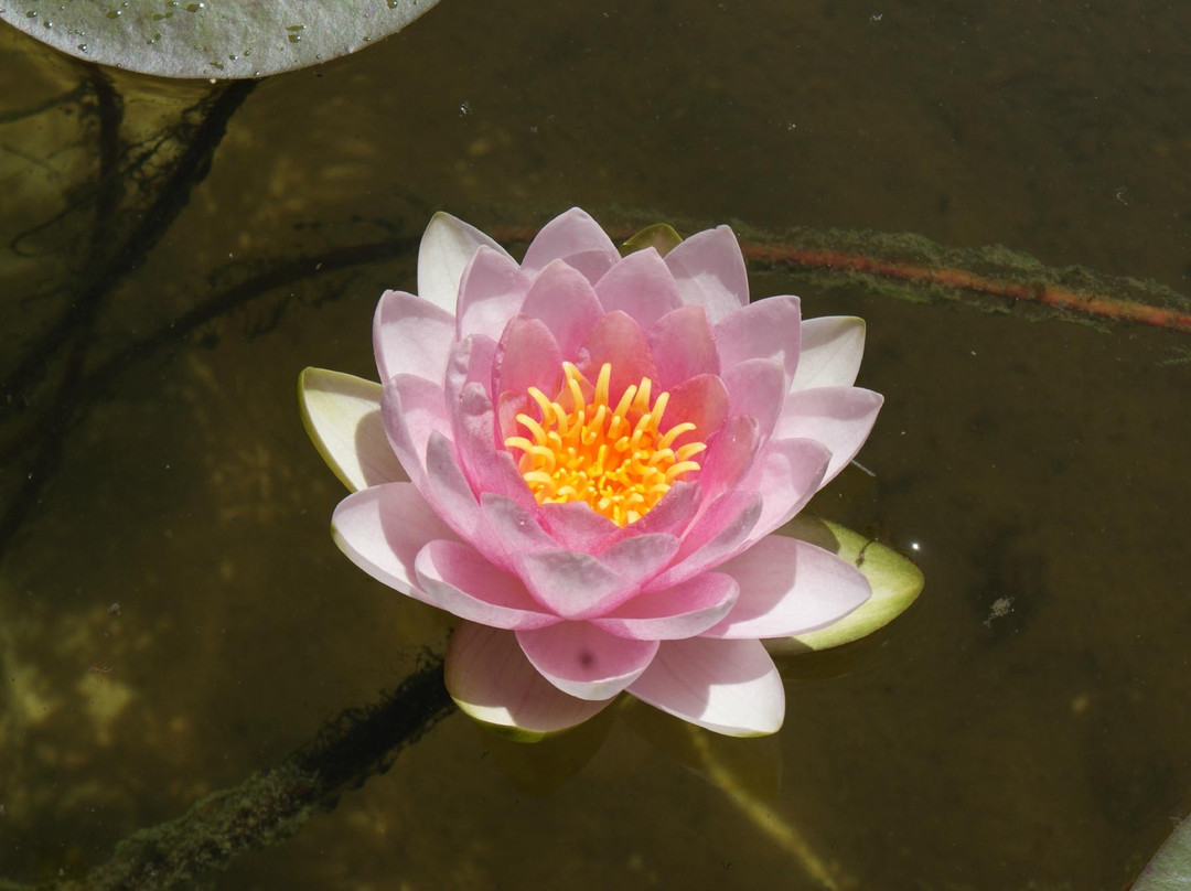 Chambre d'Hotes La Douelle主图