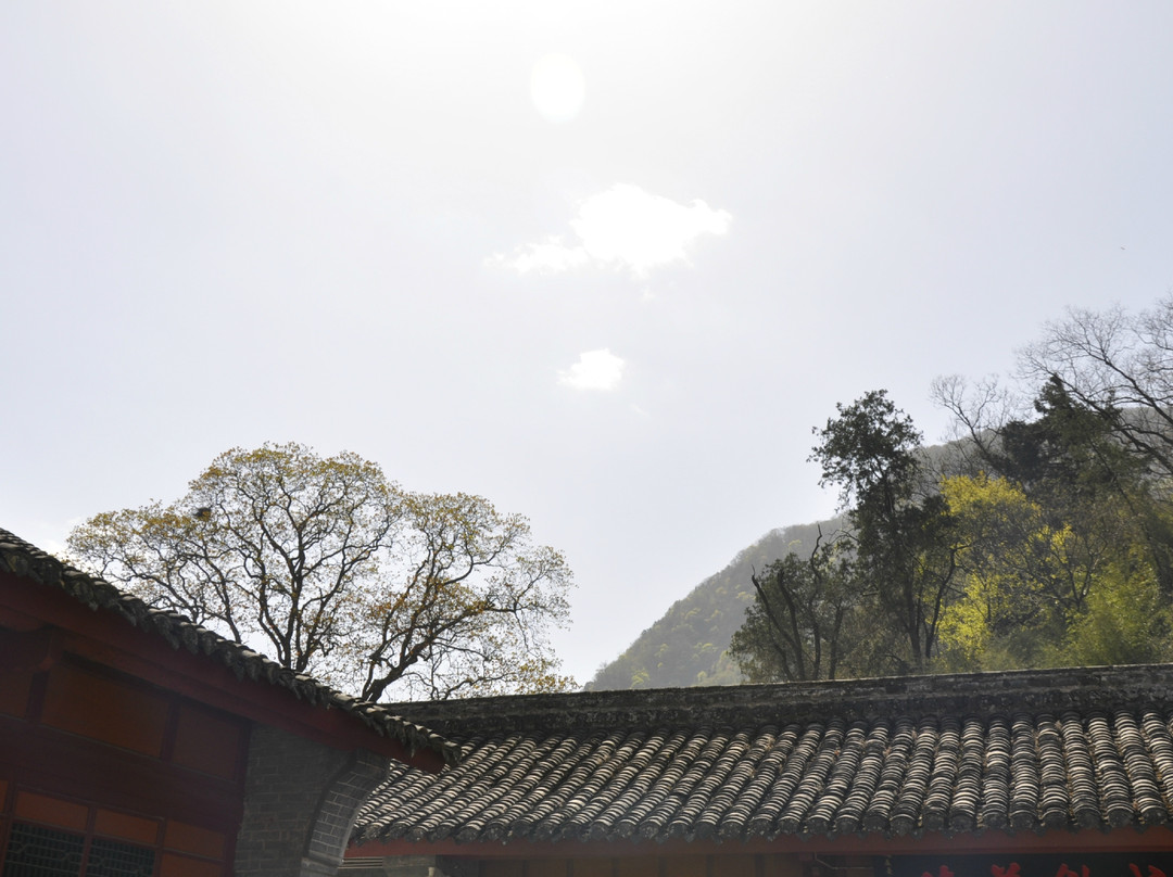 汉中紫柏山景点图片