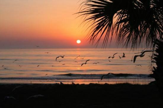 Captiva Pass-俘虏岛必去景点