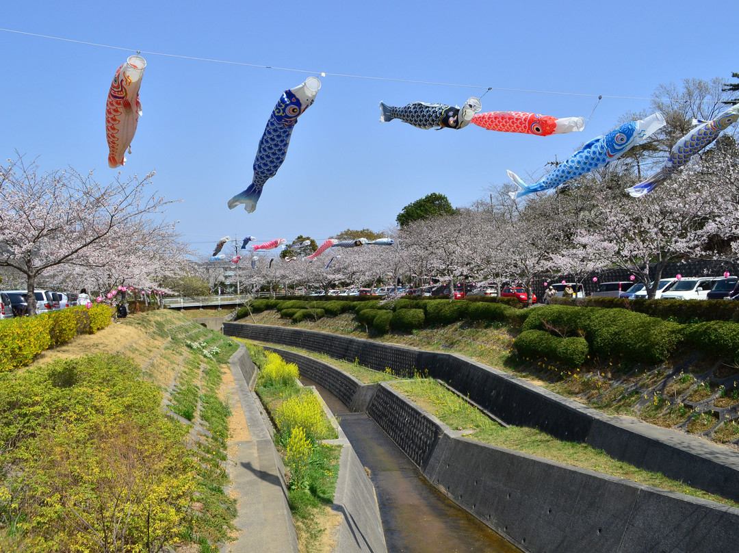 Takigashira Park-田原市必去景点