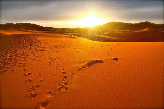 Discover Morocco Tours-马拉喀什必去景点