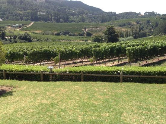 WineFairy-开普敦中心区必去景点