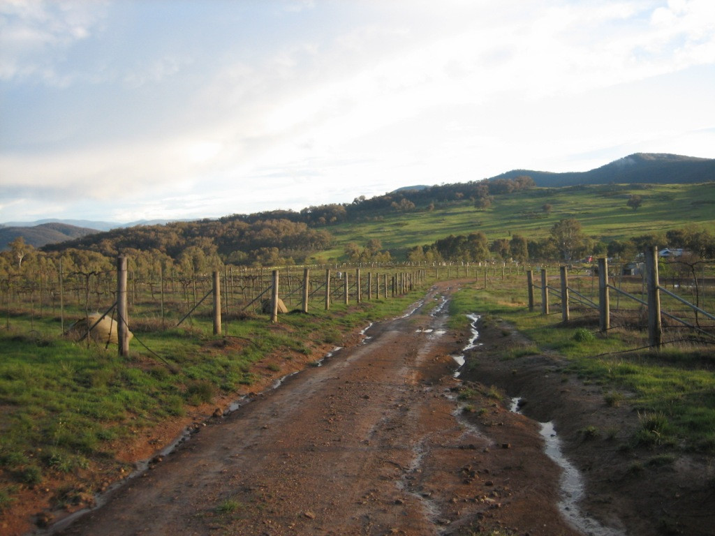 Flyfaire Wines-Woomargama必去景点