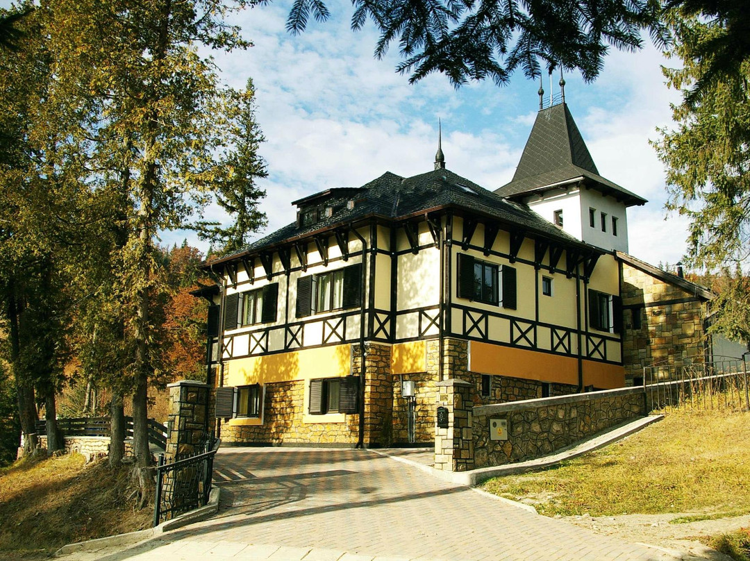 Vila Borsec