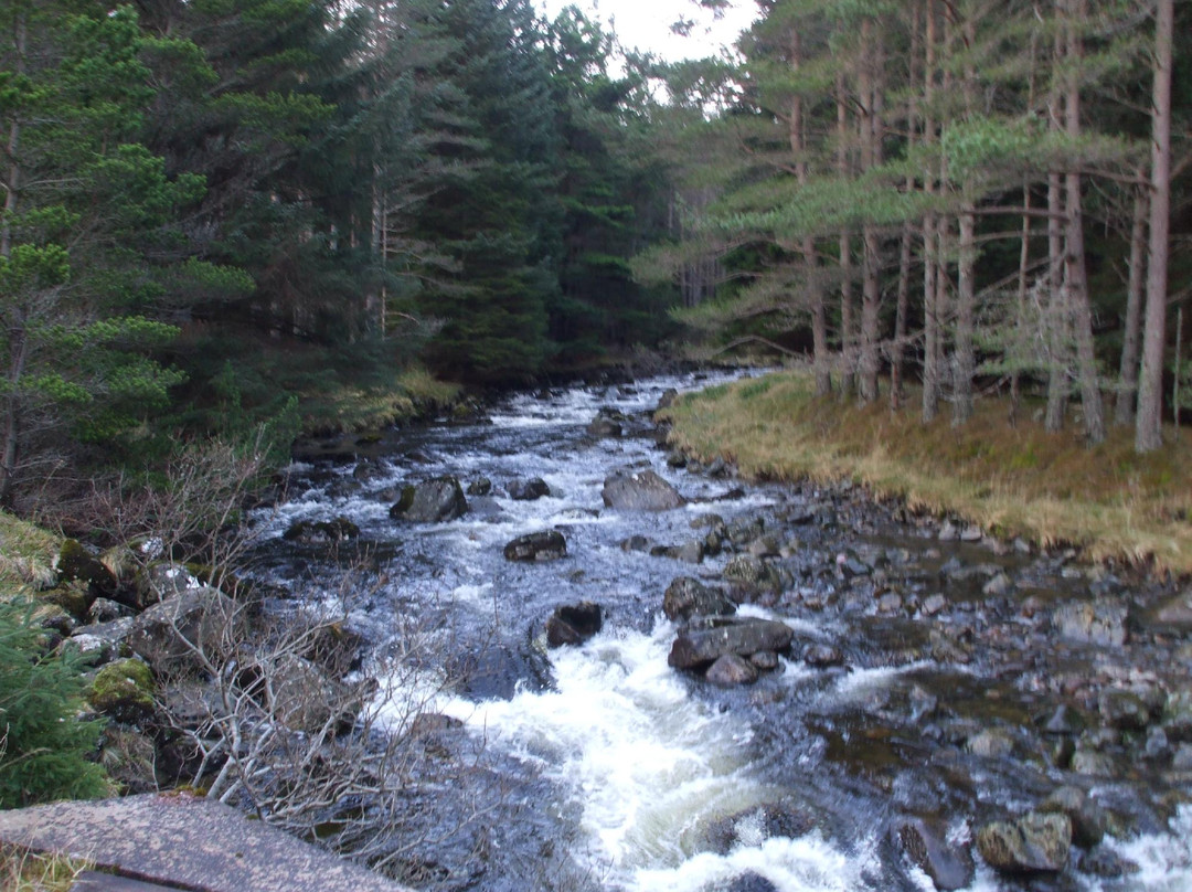 Angus Glens-Kirriemuir必去景点