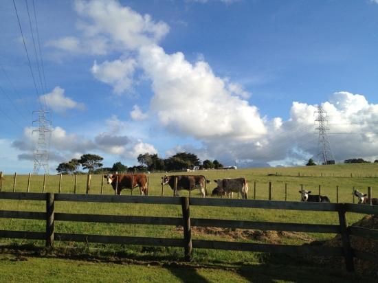 Pakinui Farmstay and B&B-客卧