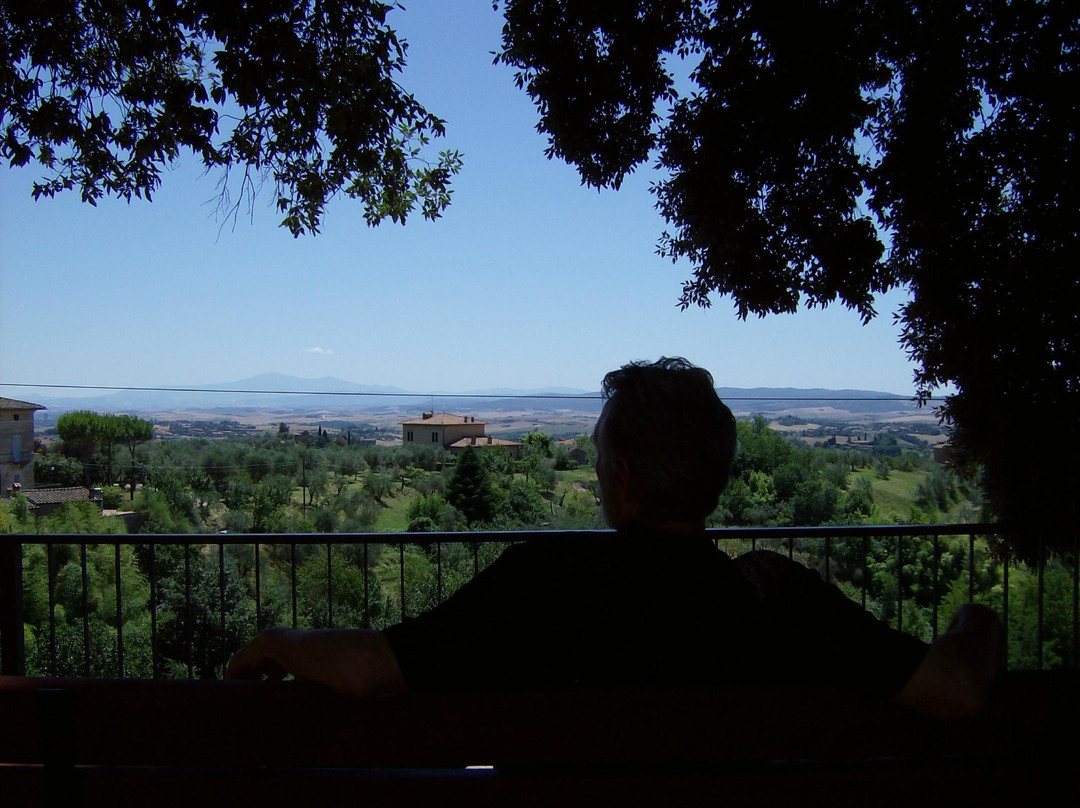 Tuscan Vineyard Tours景点图片