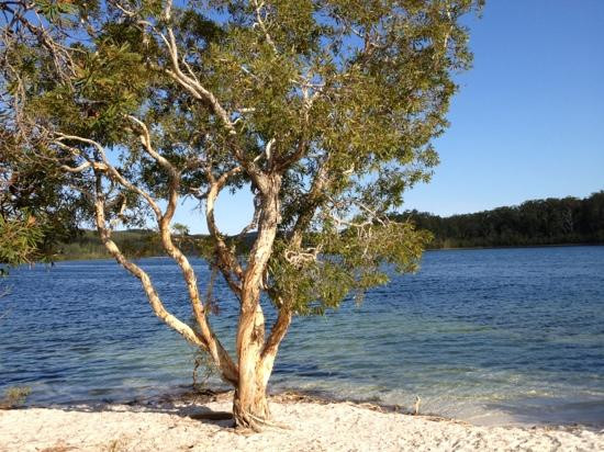 K'gari Explorer Tours-弗雷泽岛必去景点