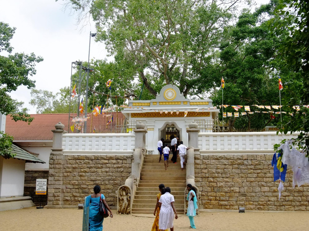 Sri Maha Boodhi Temple景点图片